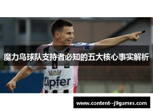魔力鸟球队支持者必知的五大核心事实解析